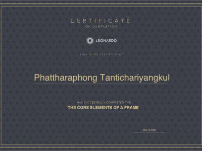 เกียรติบัตรหมอตาเด็ก นพ.ภัทรพงศ์ ตันติจริยางกูร จาก LEONARDO