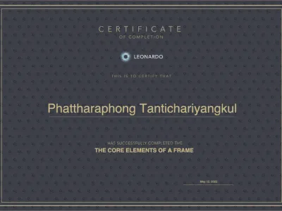 เกียรติบัตรหมอตาเด็ก นพ.ภัทรพงศ์ ตันติจริยางกูร จาก LEONARDO